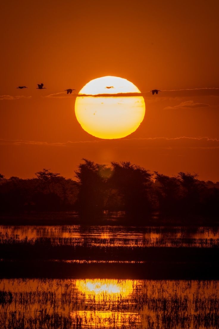 Aerocruise Botswana safari