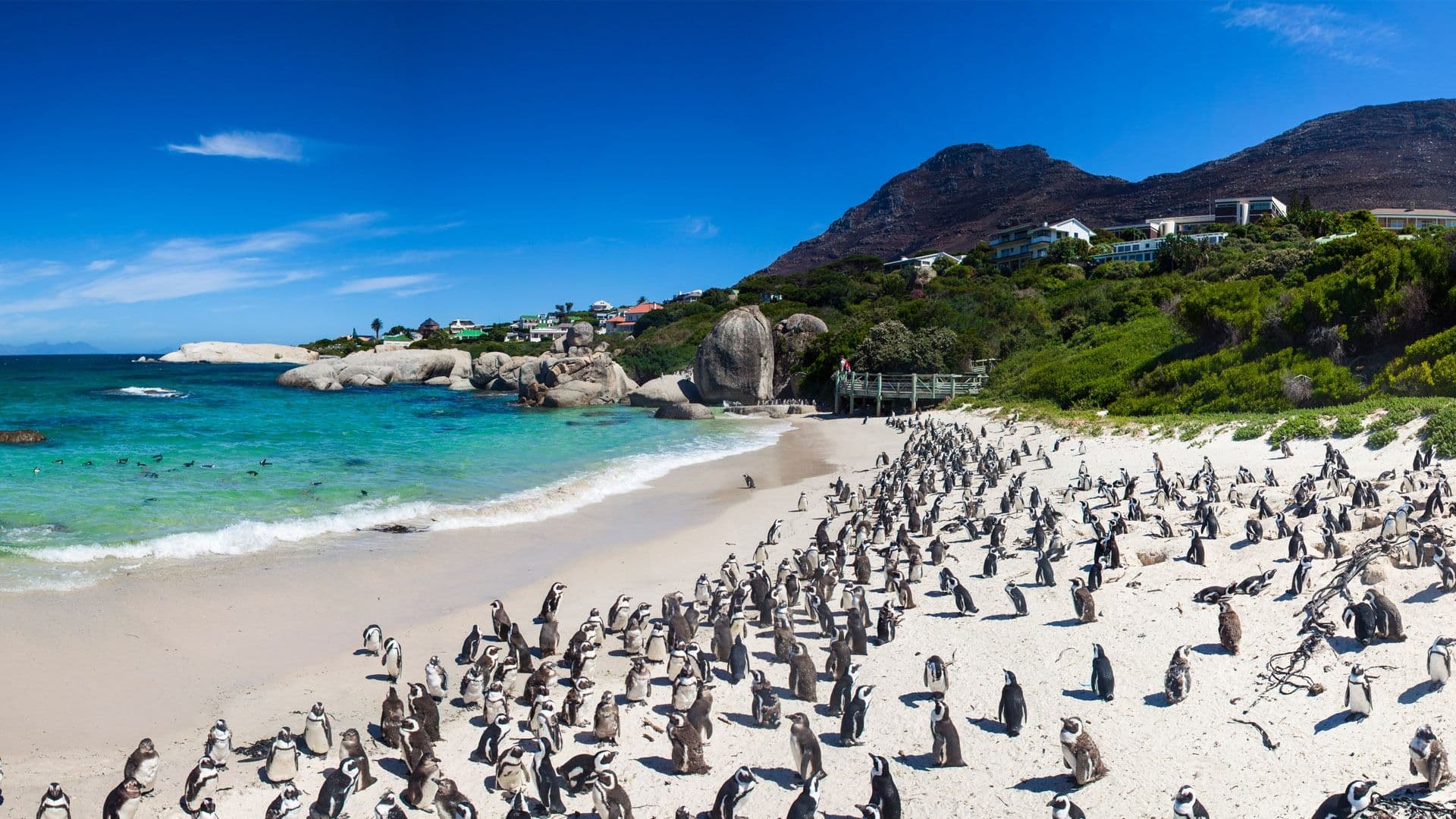Cape Peninsula