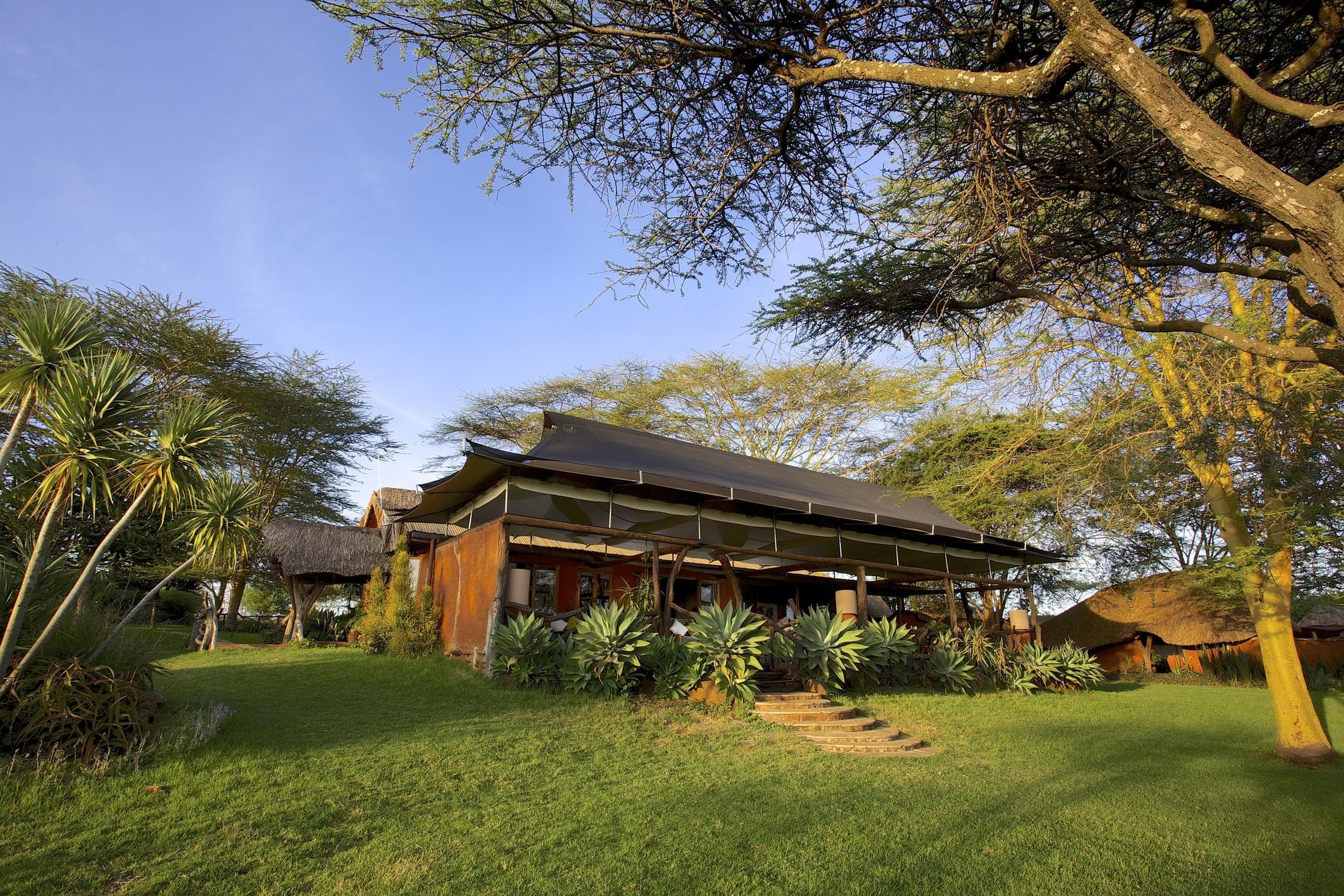 Elewana Lewa Safari Camp