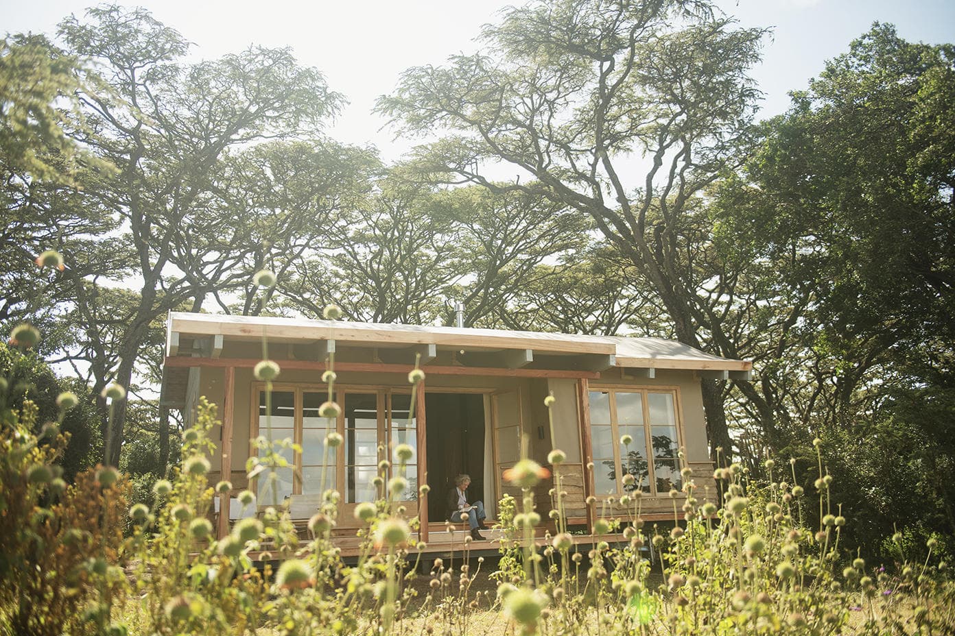 Entamanu Ngorongoro