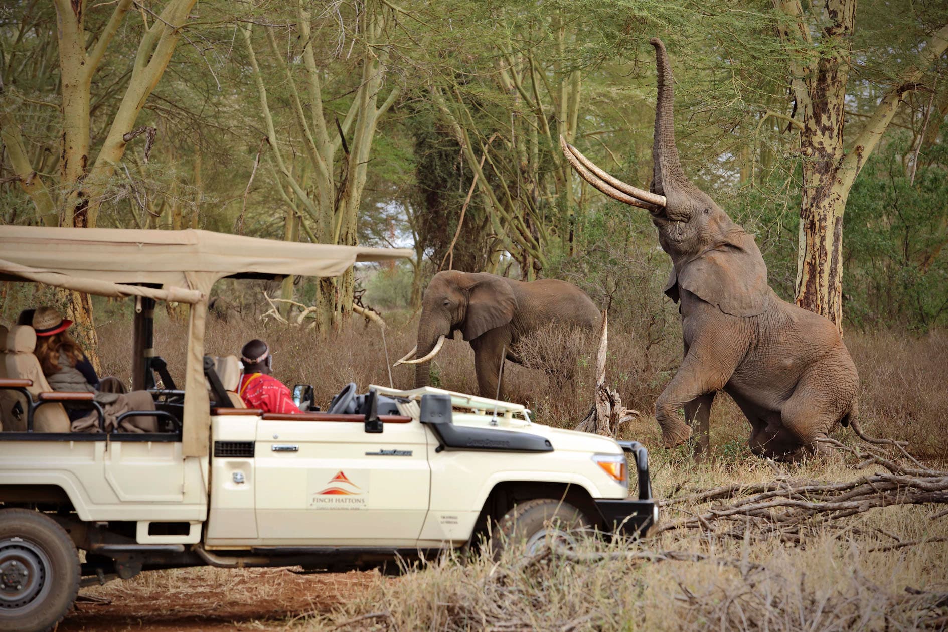 Finch Hattons Game drive with elephants