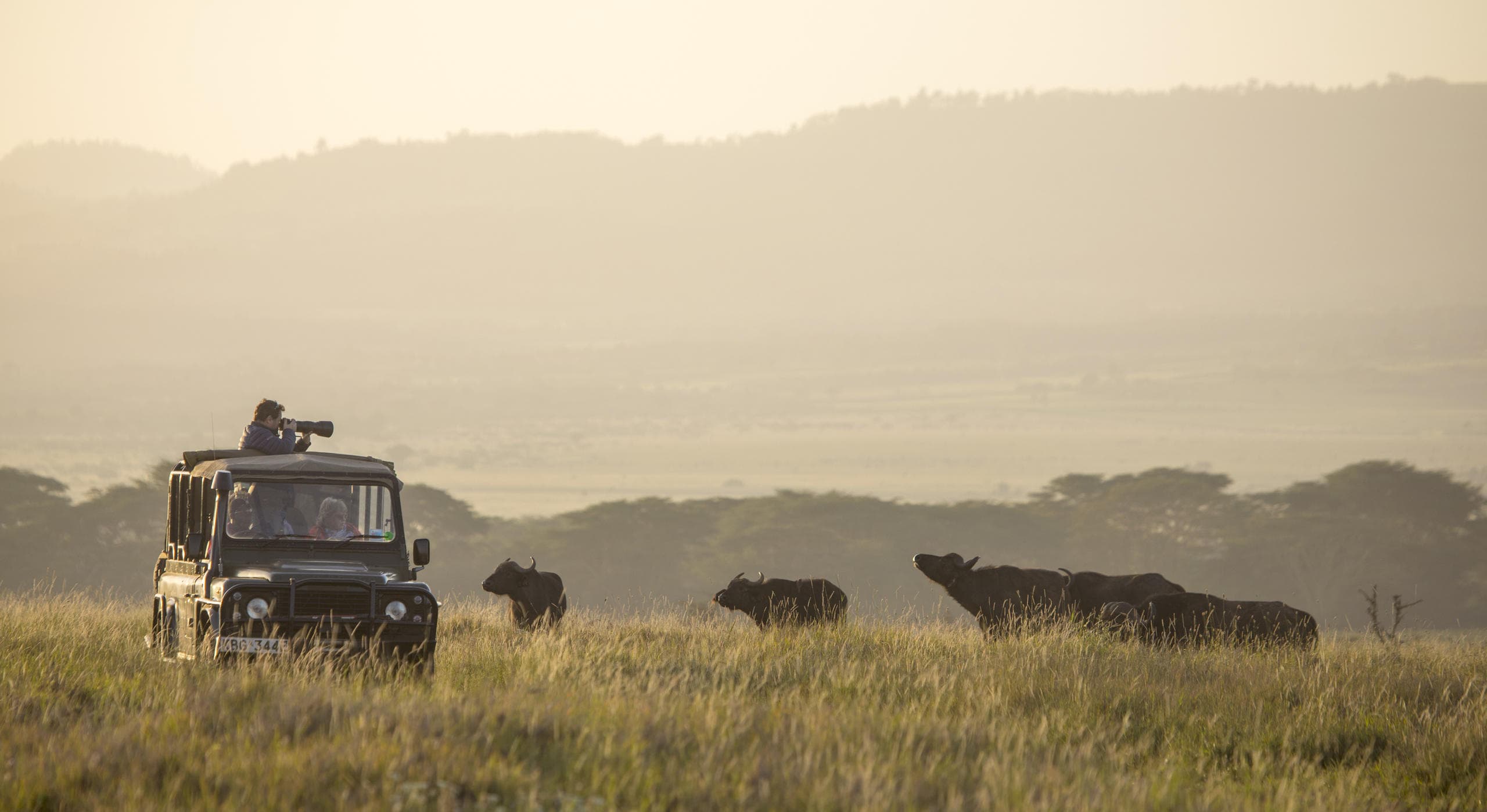 Incredible wildlife sightings on Lewa Wildlife Conservancy