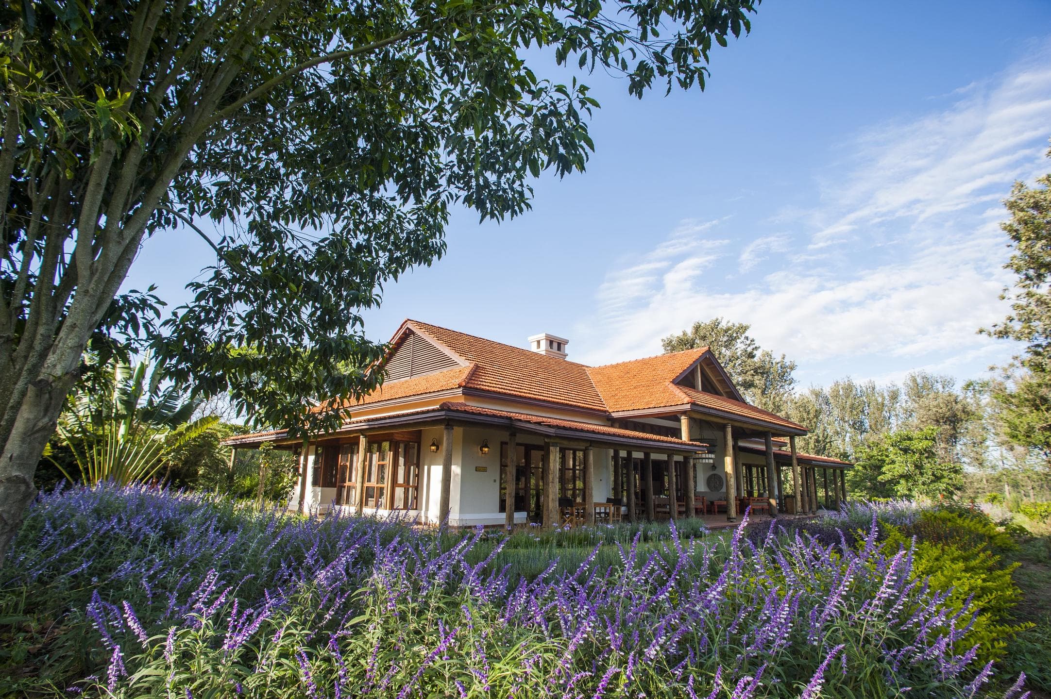 Legendary Lodge - Arusha