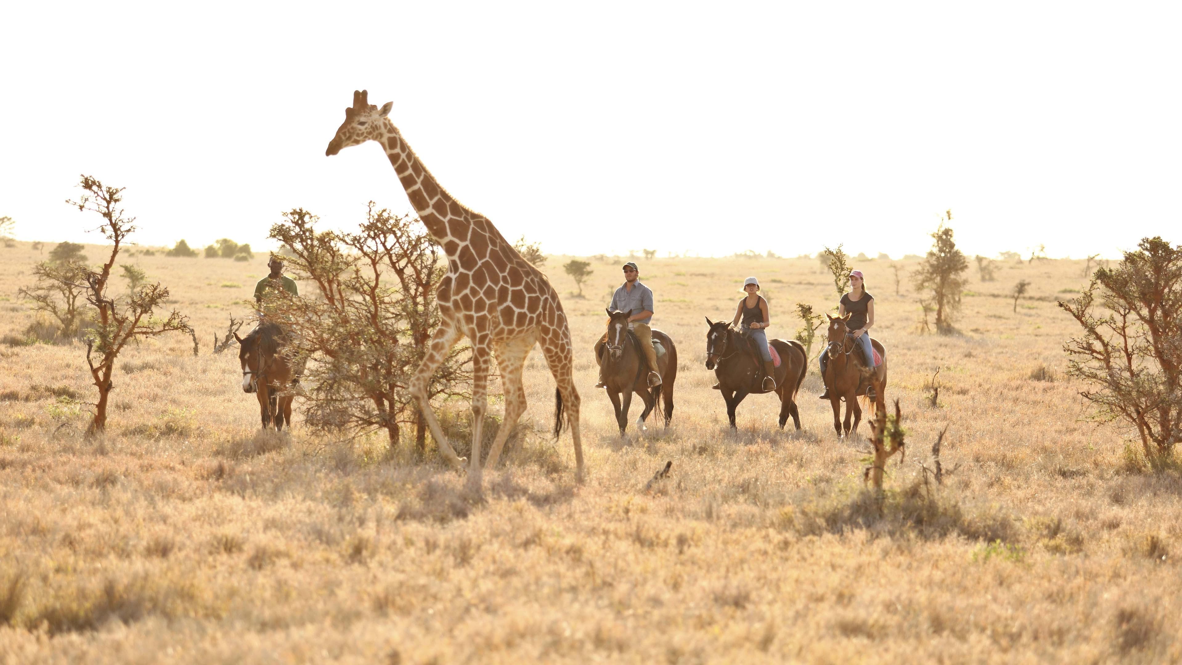 Lewa Wilderness 02