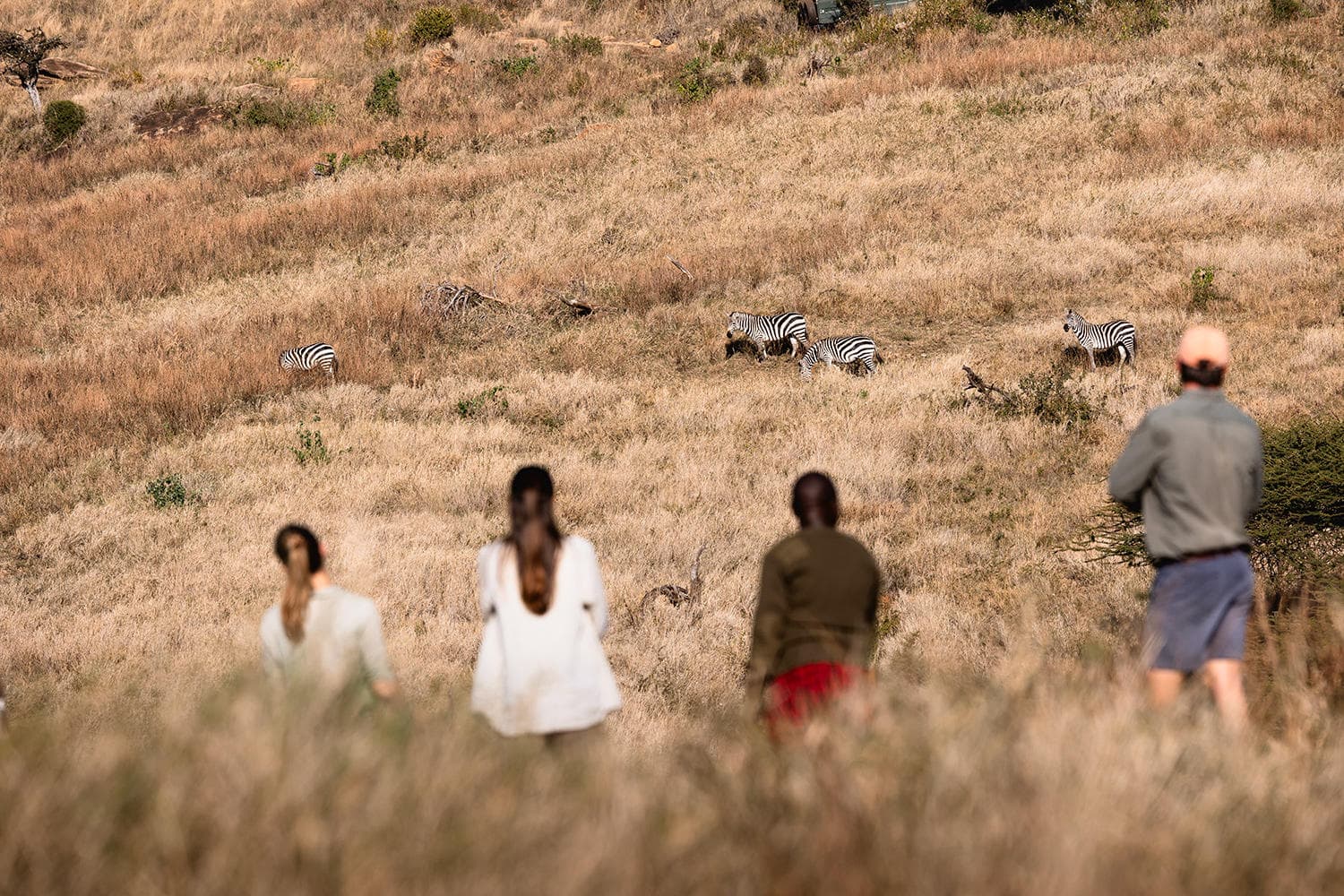 Lewa Wilderness Walking with Masai 05