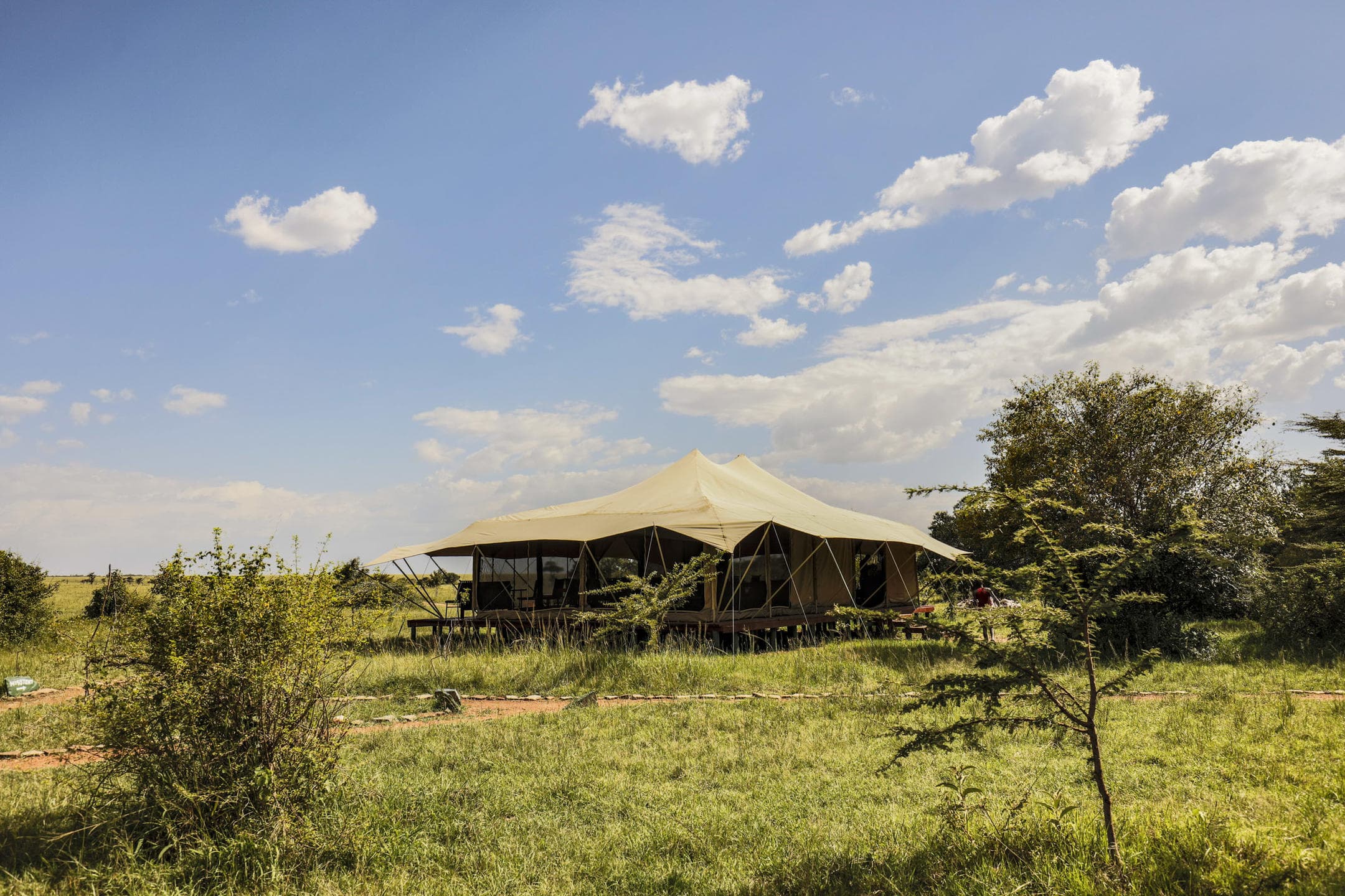 Porini Lion Camp