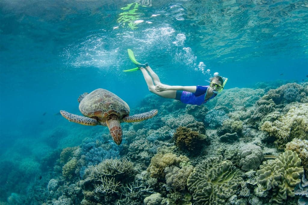 Snorkelling