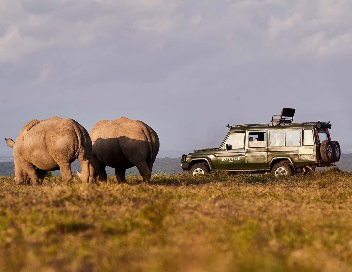 Solio game drive