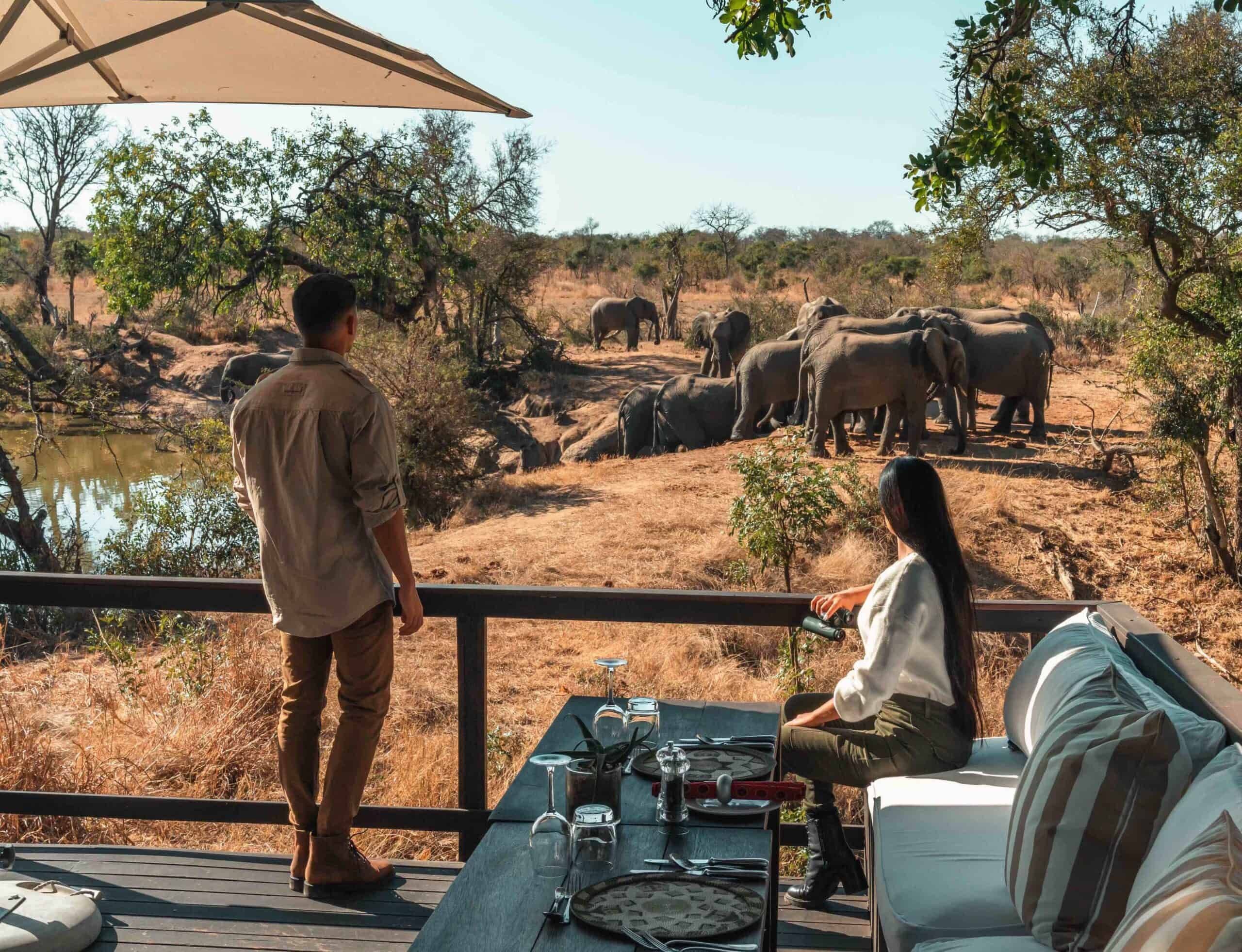 Royal Malewane Safari Lodge