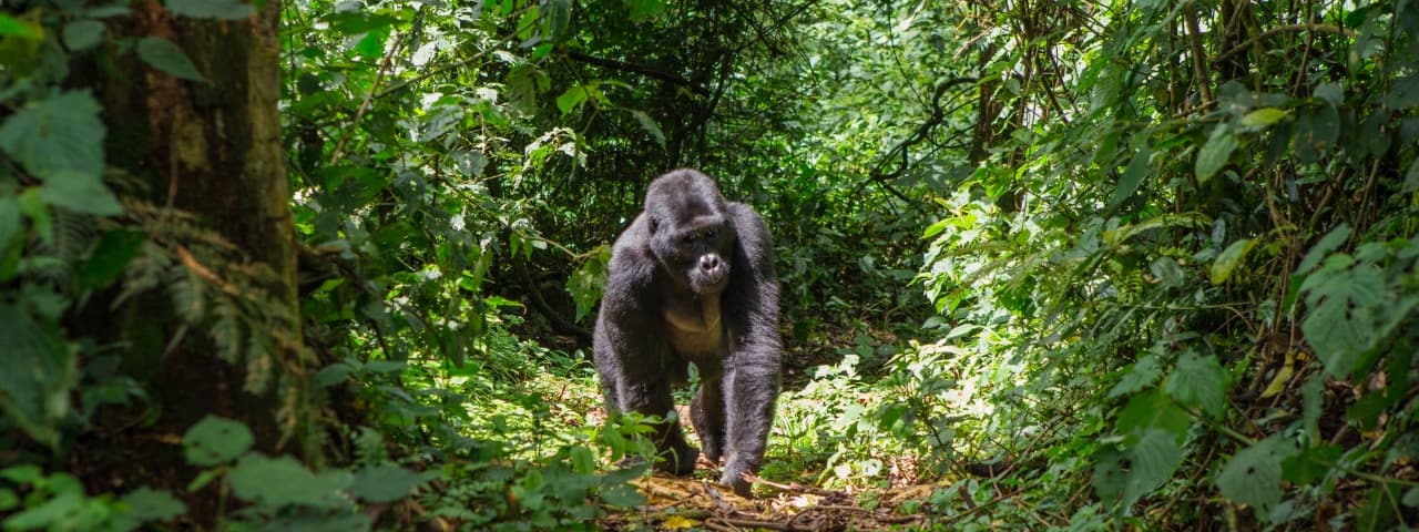 Rwanda