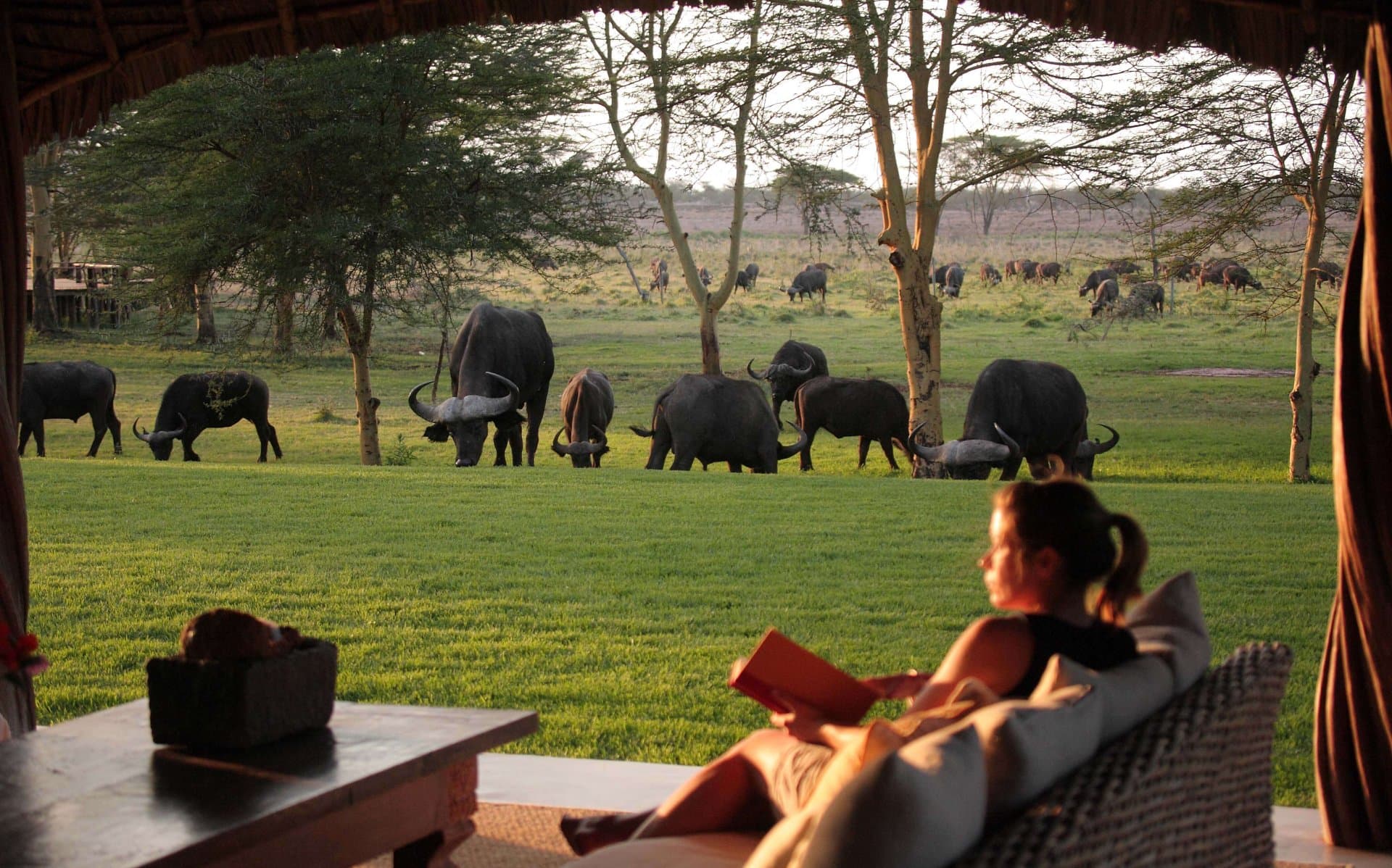 Sirikoi Lodge