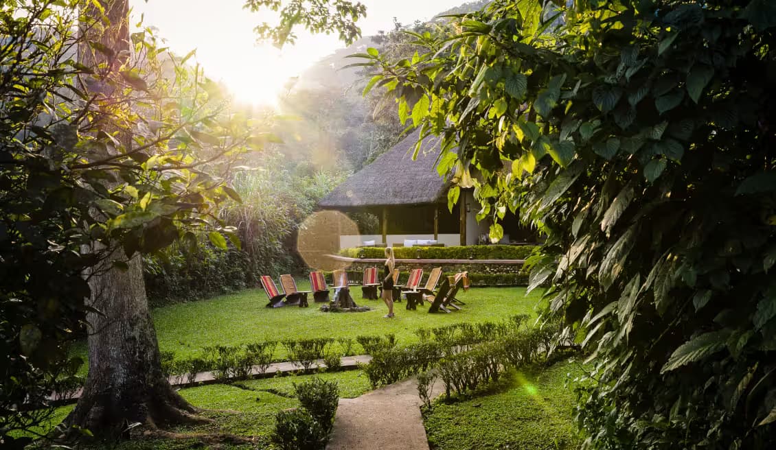 Sanctuary Gorilla Forest Camp
